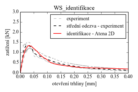 identifikace_WS_atena